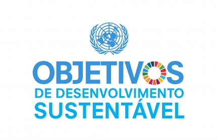 ONU/PNUD – Programa das Nações Unidas para o Desenvolvimento - Imagem 25