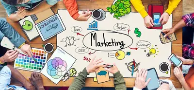 Profissionais montando um plano de marketing em quadro com etapas, metas e canais de divulgação